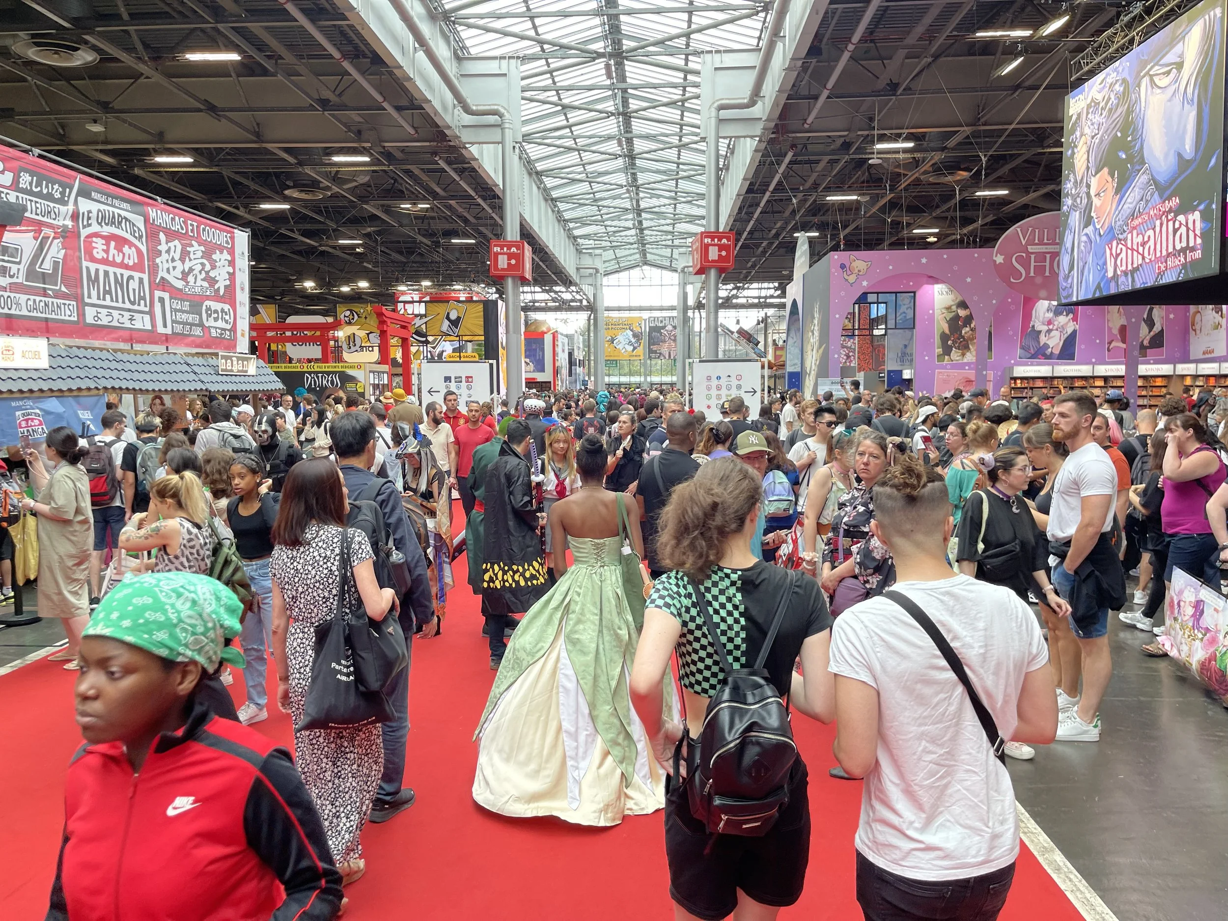 Japan Expo in Paris